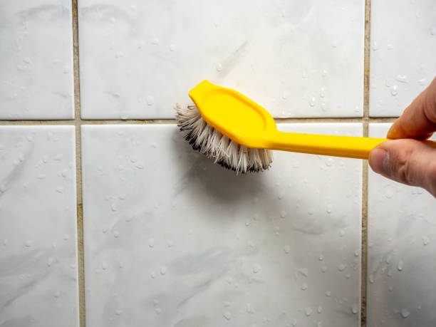 Best Black Mold Removal  in Douglas, AZ