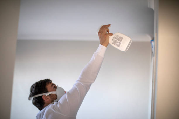 Best Mold Remediation  in Douglas, AZ